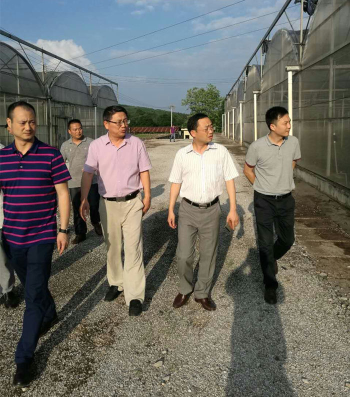 院長李文輝在湖南宜章經(jīng)開區(qū)及農業(yè)科技園進行調研