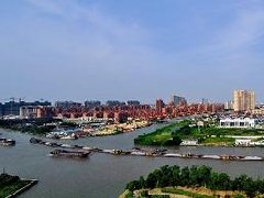 海南花卉苗木產業發展規劃：將選育自主知識產權花卉新品種