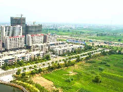 張掖市出臺牛產(chǎn)業(yè)規(guī)劃和政策措施促其持續(xù)快速發(fā)展