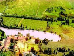 重視平臺“十四五”規劃，服務地方經濟持續發展