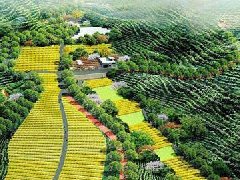 移動儲能產業園落戶湖南常德 計劃總投資達31.6億元