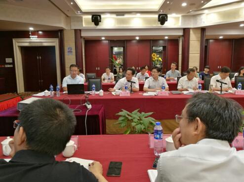 “大湖名城、創新高地”——安徽合肥廬江高新區創建國家高新區專家咨詢座談會圓滿召開