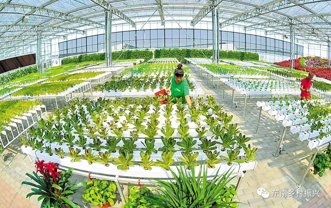 發(fā)改委點贊休閑農(nóng)業(yè):農(nóng)村一二三產(chǎn)融合發(fā)展報告出爐