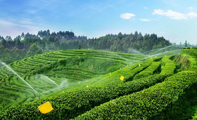 2019年國家先給錢后建設的4類農(nóng)業(yè)產(chǎn)業(yè)項目，最多補貼1個億