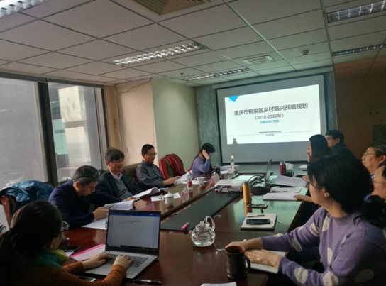 問診專家,繪制龍鄉(xiāng)銅梁鄉(xiāng)村振興新藍(lán)圖