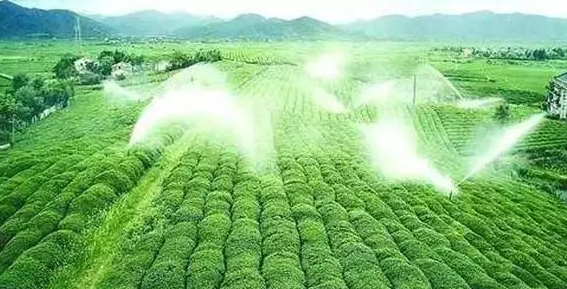 重磅！2019中央一號文件即將發布！大農業領域迎來新機遇