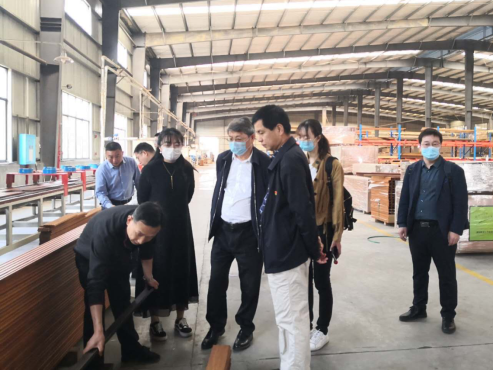 竹青筍香“桃花江”，現代農業(yè)吐芬芳