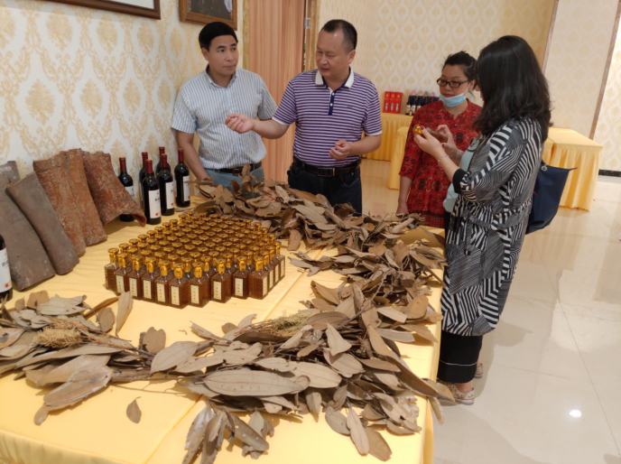 龔州大地，龍眼飄香-平南現代農業正釋放科技創新活力