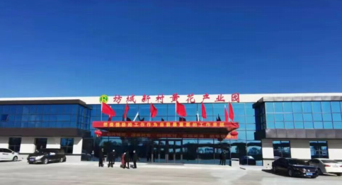 大同黃花，忘憂云州——云州區(qū)積極申創(chuàng)國(guó)家農(nóng)業(yè)現(xiàn)代化示范區(qū)