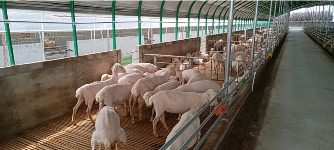 高新院再創佳績，又一國家現代農業產業園誕生在三晉大地