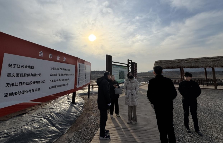 大盈之地，寶藏內丘—我院專家組走進太行山 酸棗之鄉調研