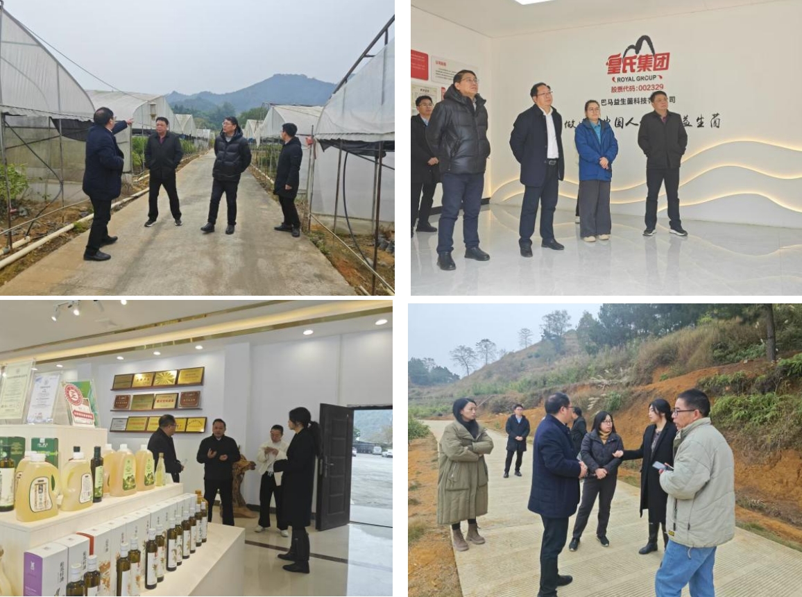 長壽之鄉，逐路之行——高新院專家組一行赴廣西巴馬瑤族自治縣開展河池農高區創建調研